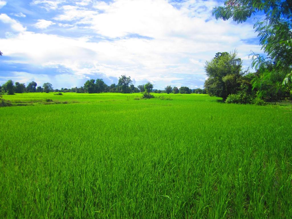 Surrounding environment