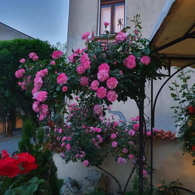 Guest House Gurkov photo