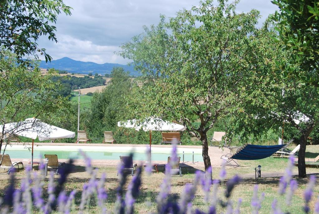 Country House Le Torri di Porsenna photo