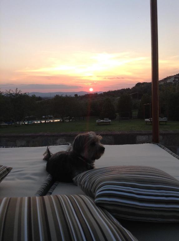 Country House Le Torri di Porsenna photo