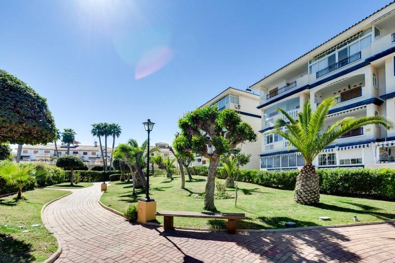 Apartamento cerca de la playa La Mata - 2
