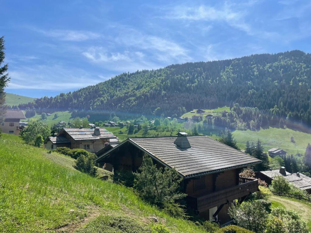 Aravis B18-appartement 4/5 pers, belle vue - 5