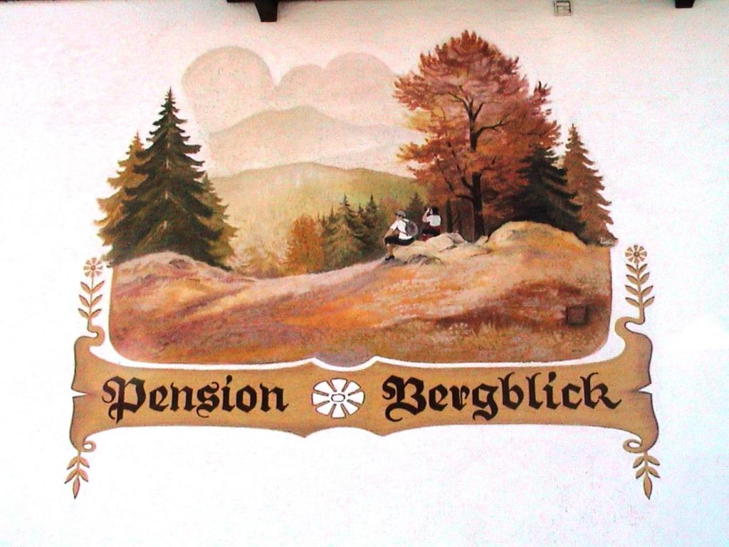 Pension Bergblick photo