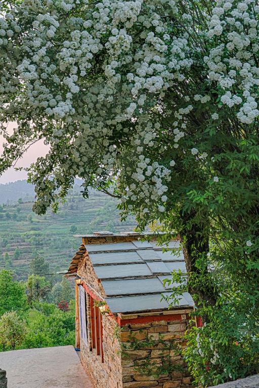 SaffronStays El Sueno, Mukteshwar - pet-friendly suatainable villa serving Pahadi meals photo