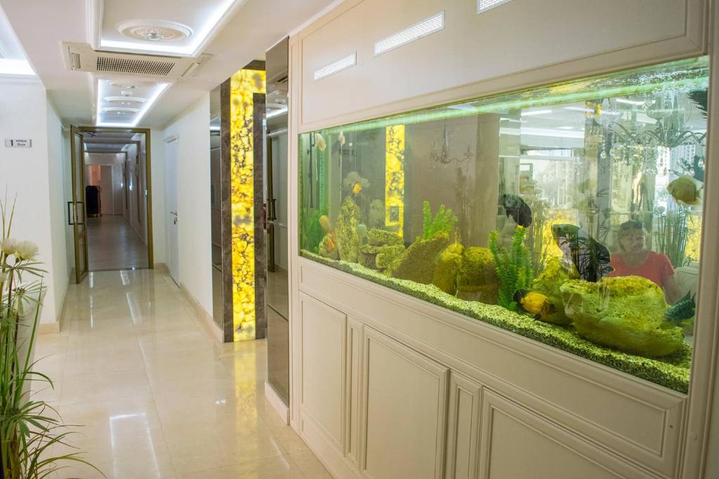 Harmony Suites - Dream Island photo
