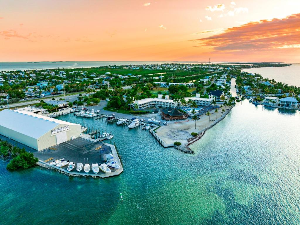 Caloosa Cove Resort - With Full Kitchens — Hotel in Islamorada (FL)