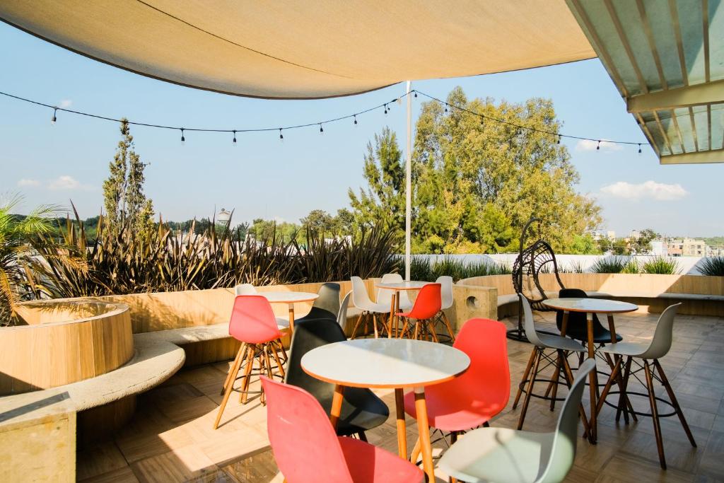 TERRAZA 10 photo