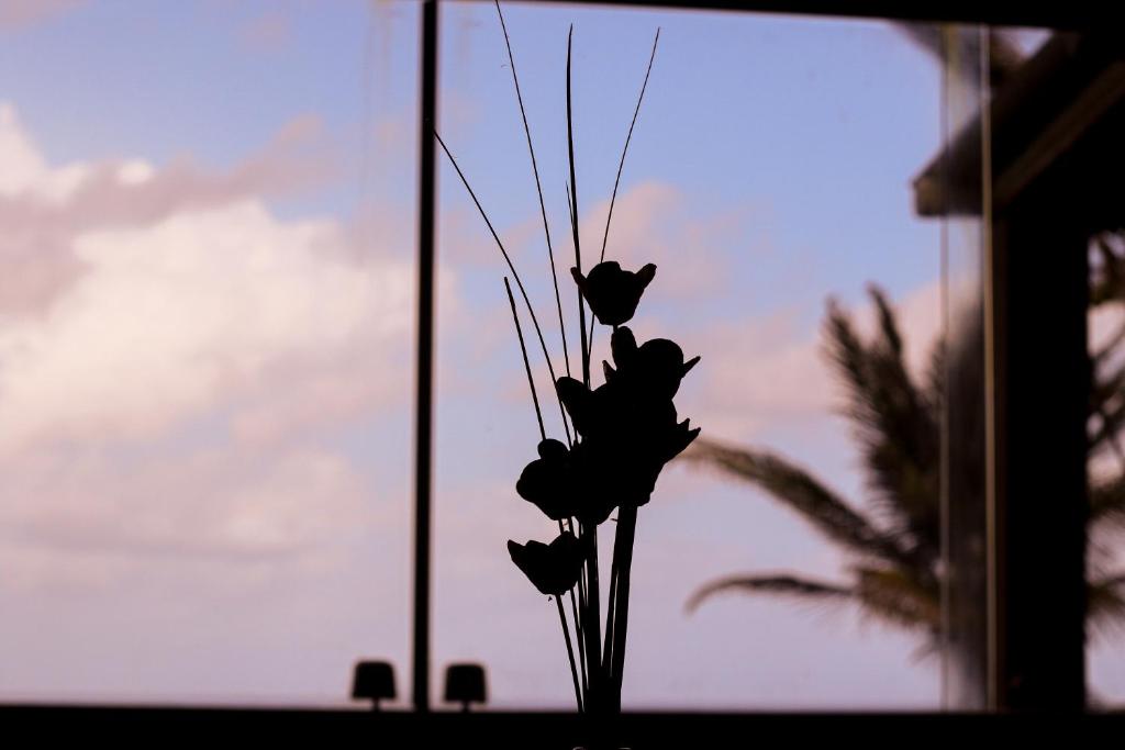 Pousada Santu photo