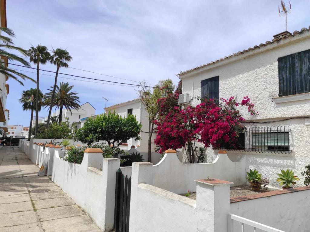 Casa La Gaviota en el centro de Zahara - 1