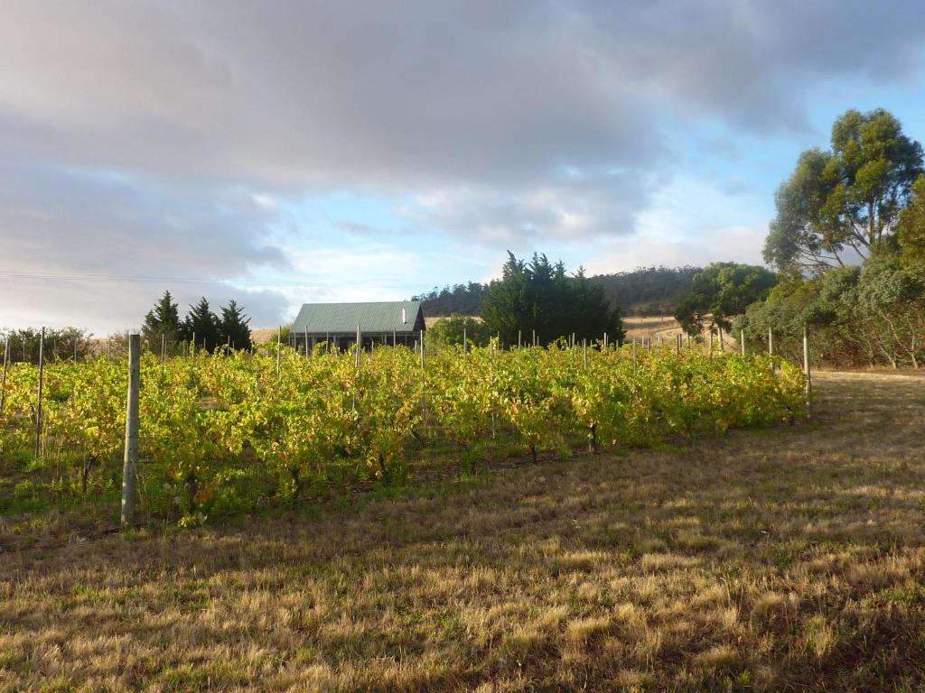 Charles Reuben Estate                                                                            photo