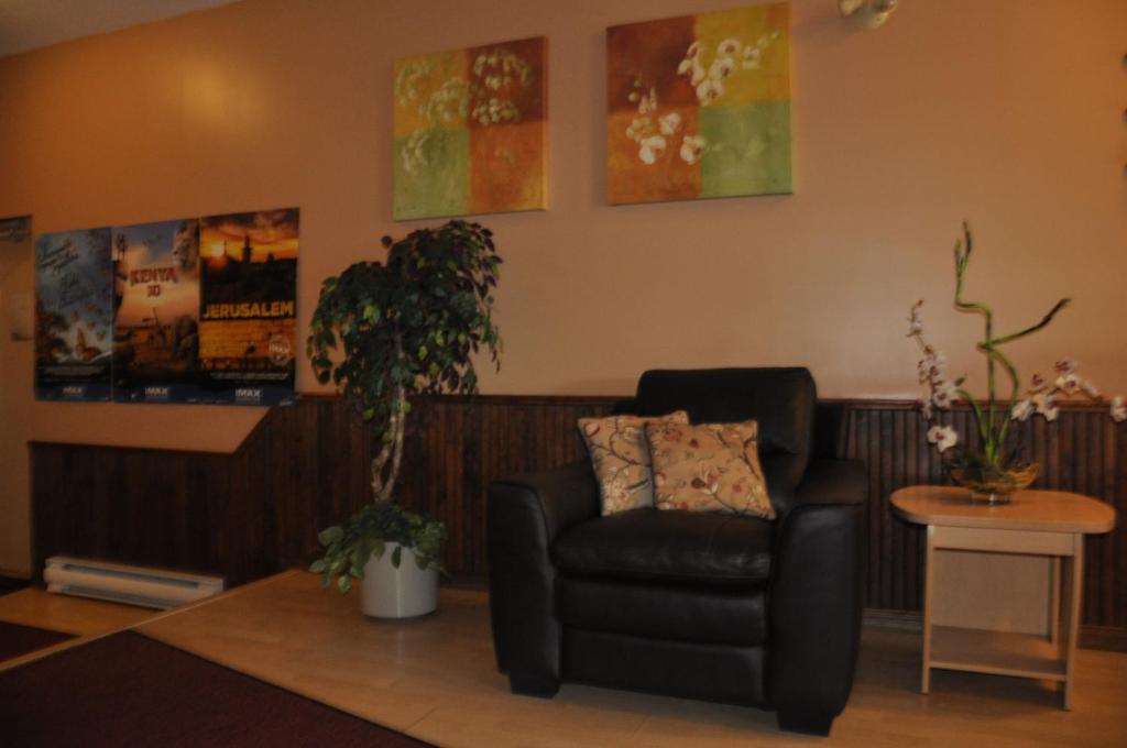 Motel les Pignons Verts photo
