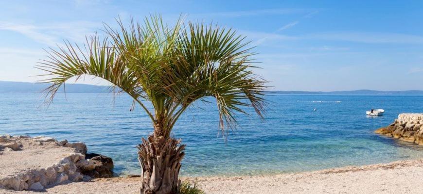 Apartments Viking, Spalato (Split)