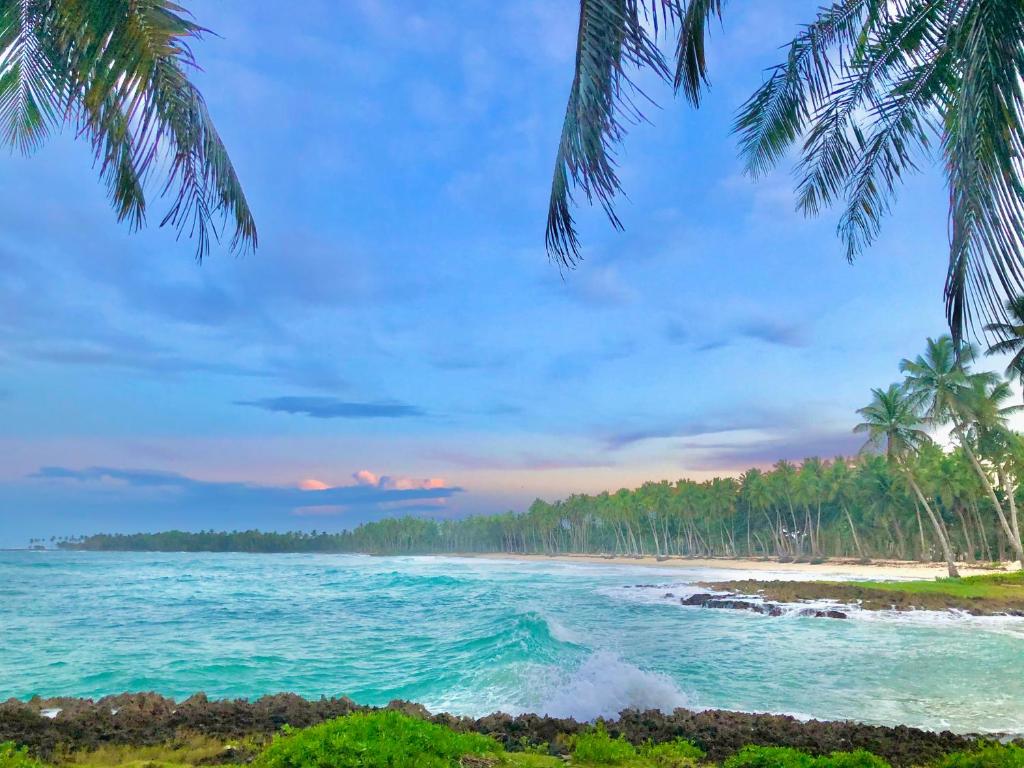 Baoba Breeze Bed & Breakfast- beachfront paradise photo