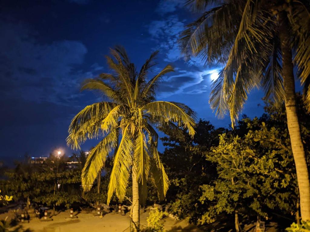 Chamisland Hanhly homestay photo