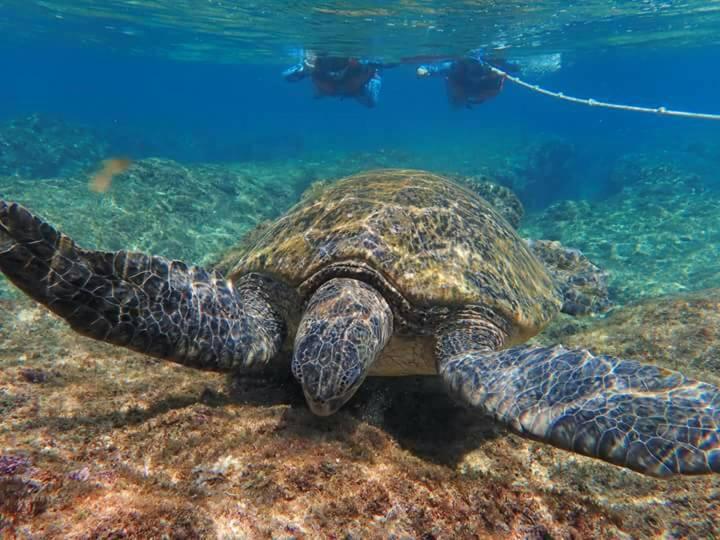 Sports and activities