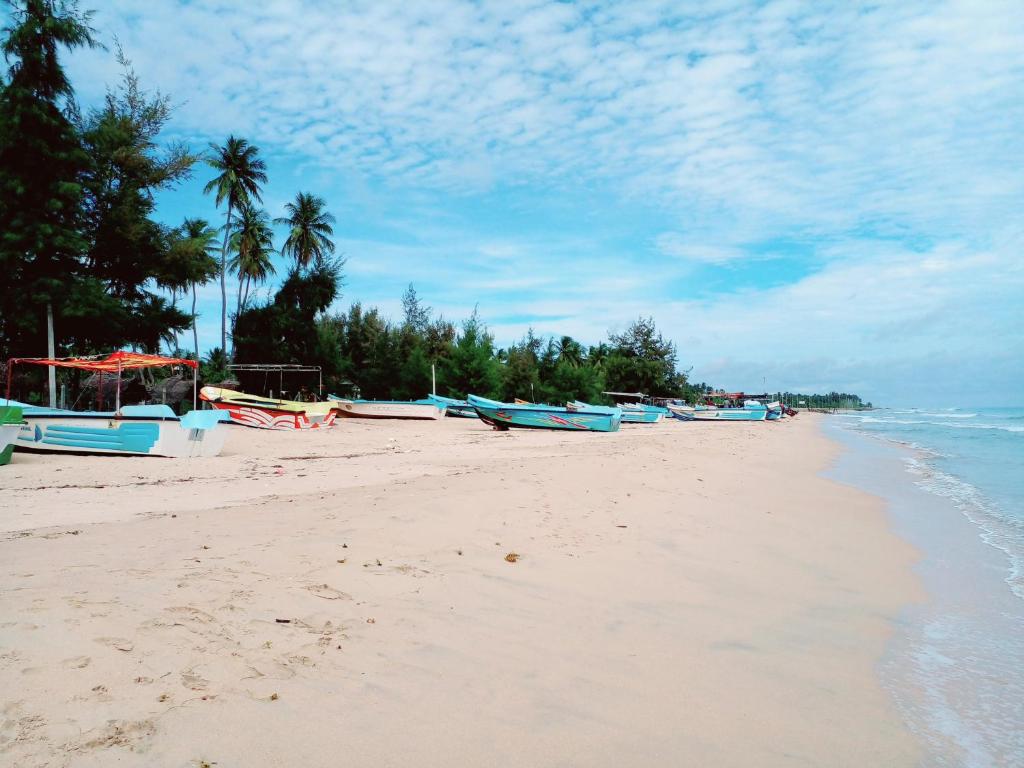 Ảnh 4