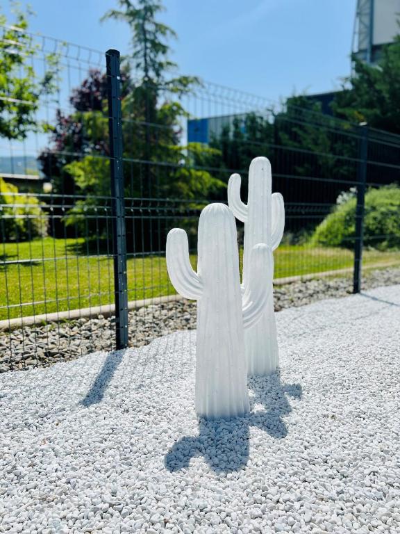 スイミングプール