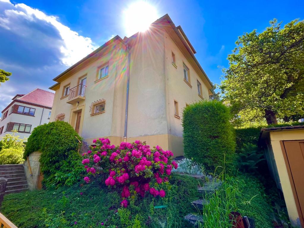 Kleines Studio am Uni-Campus - Perfekt für junge Unternehmungslustige, Drážďany