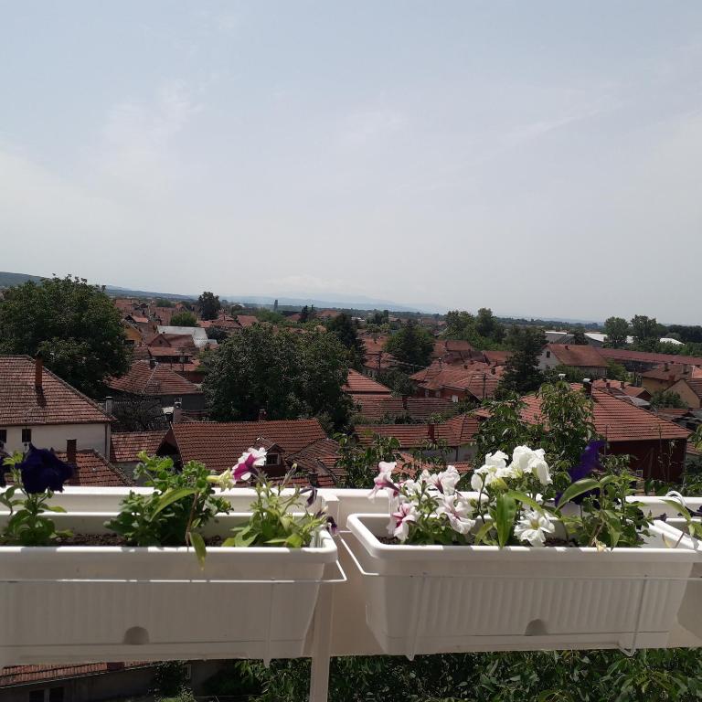 Kutak- stan na dan photo