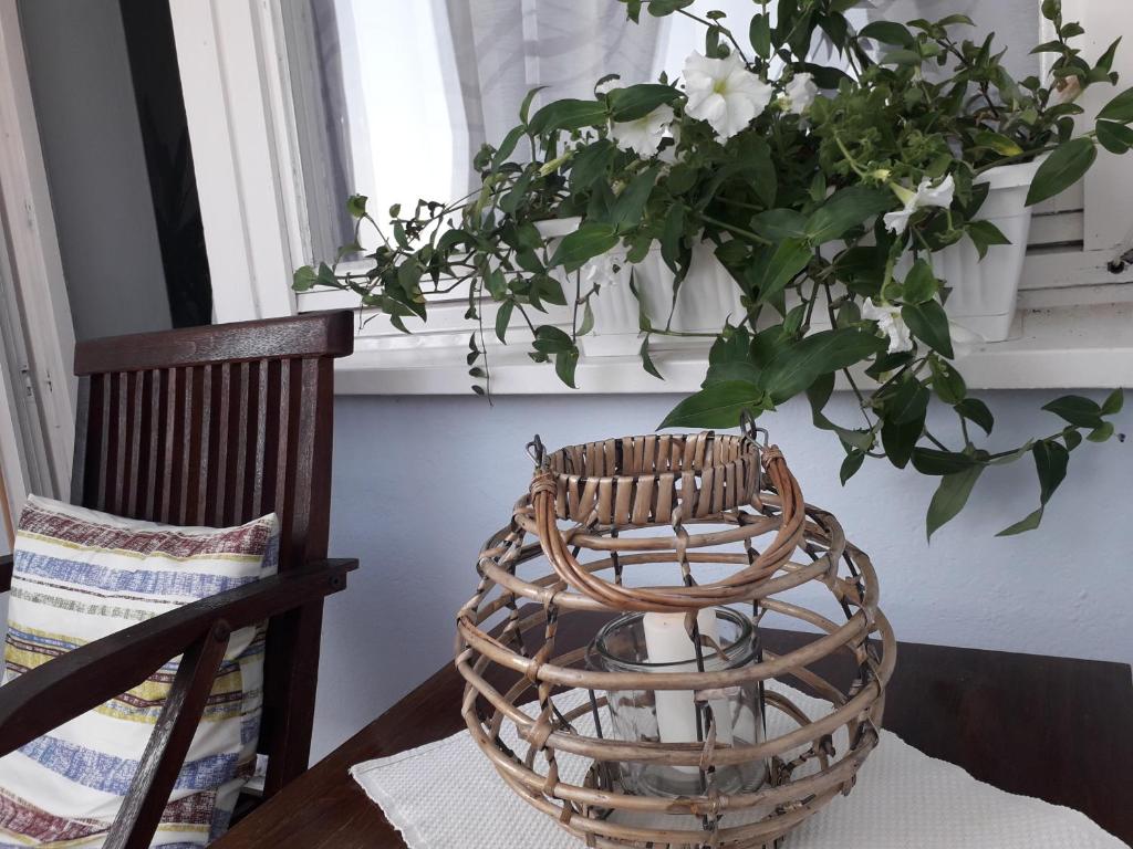 Kutak- stan na dan photo