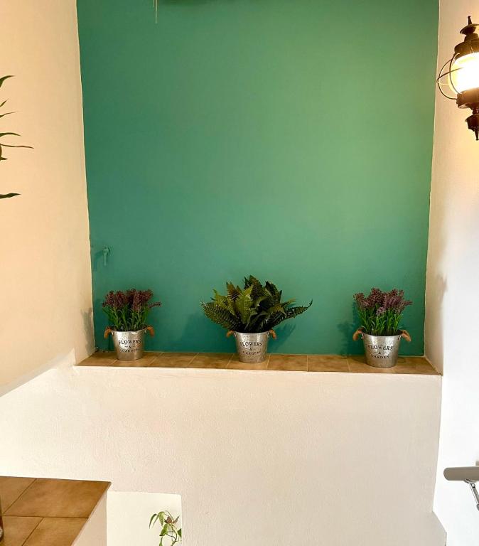 Anesi Rooms To Rent photo