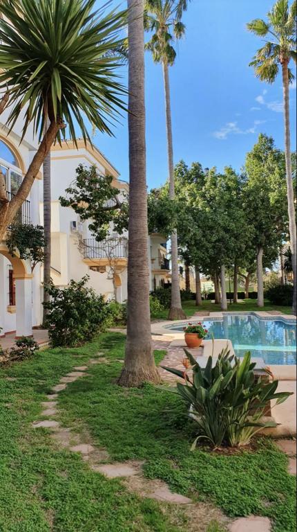 Lovely Apartment in Denia; El Patio - 5