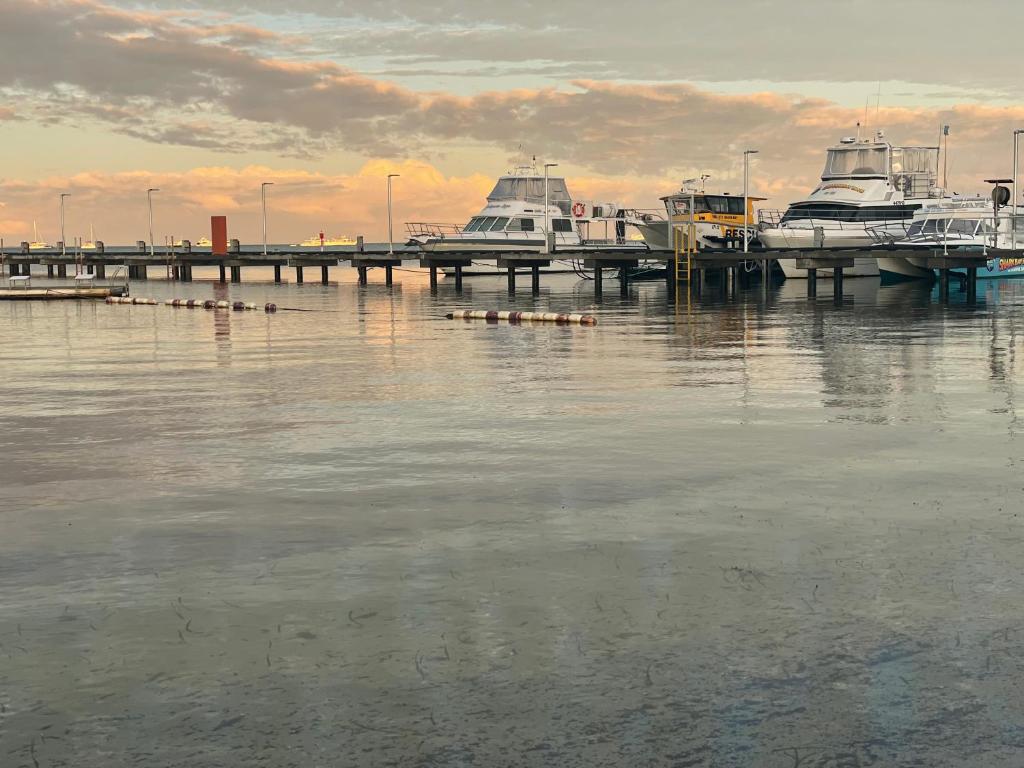 Shark Bay Seafront Apartments photo