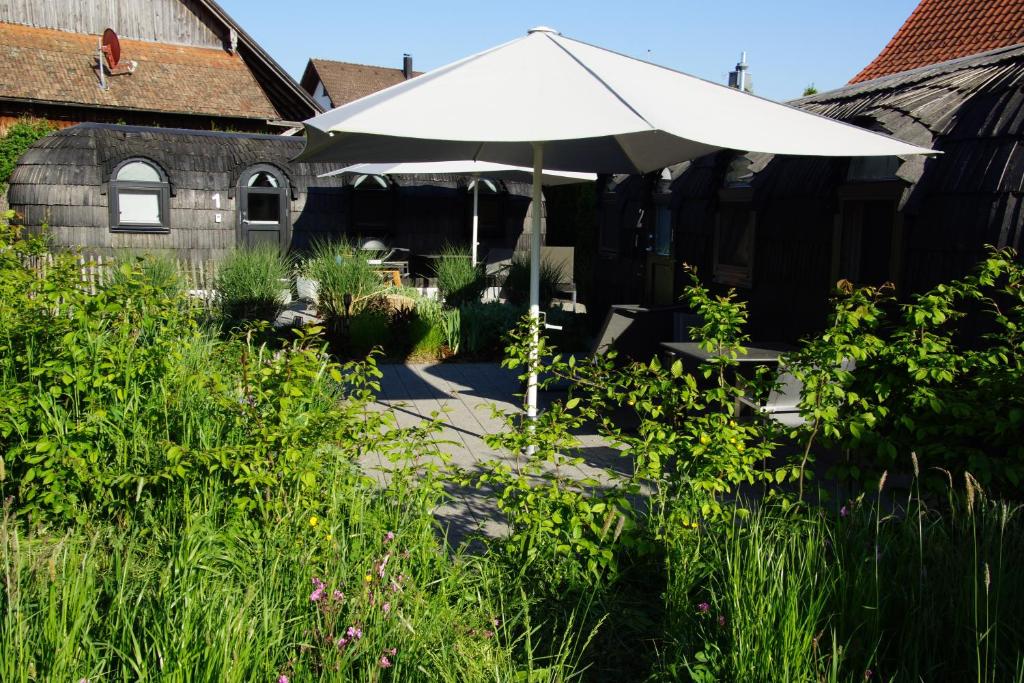 Freches Wohnen Igluhuts - 4