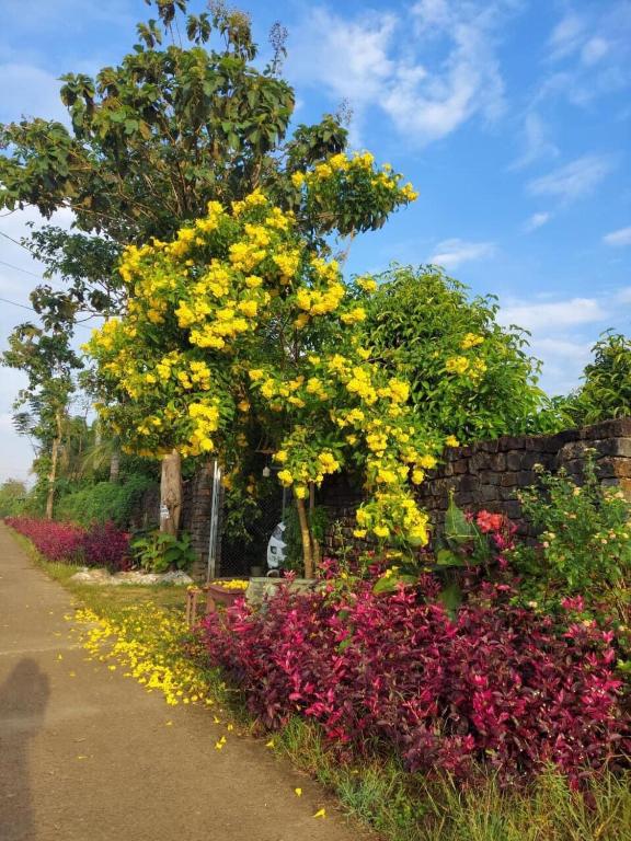 Littlefarm - Nam Cat Tien photo