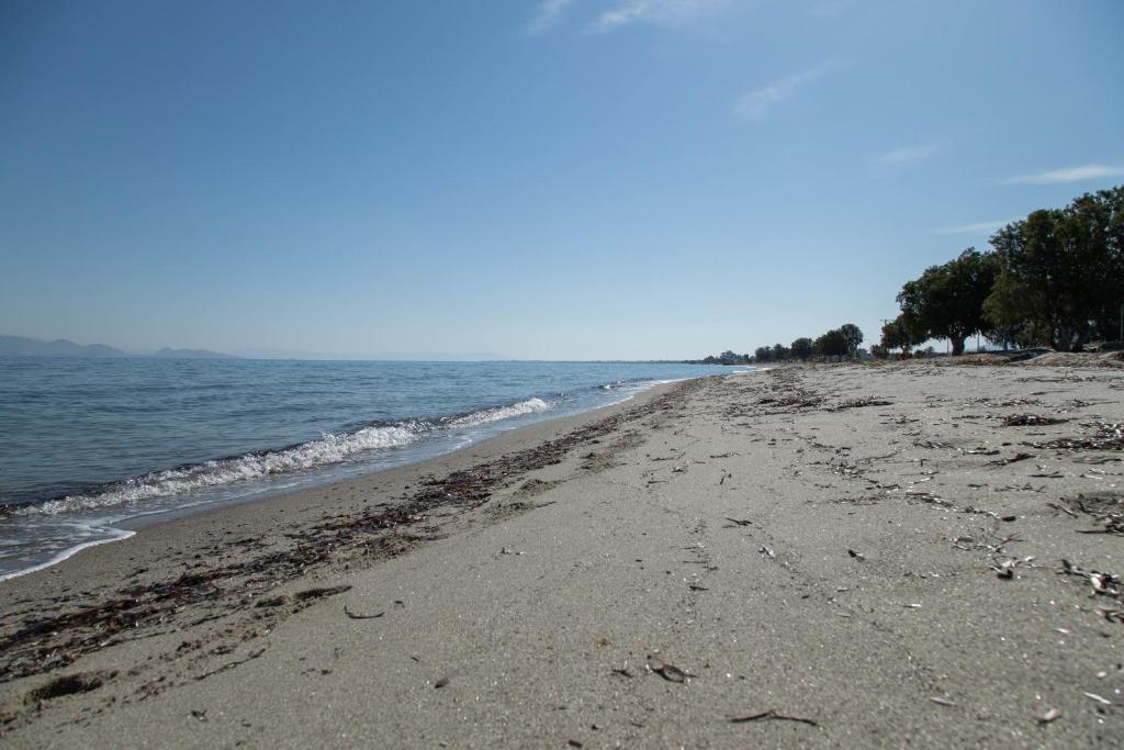 Miros Hotel Apartments — Hotel in Kos Island