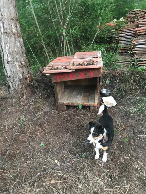 Velin raj - 2