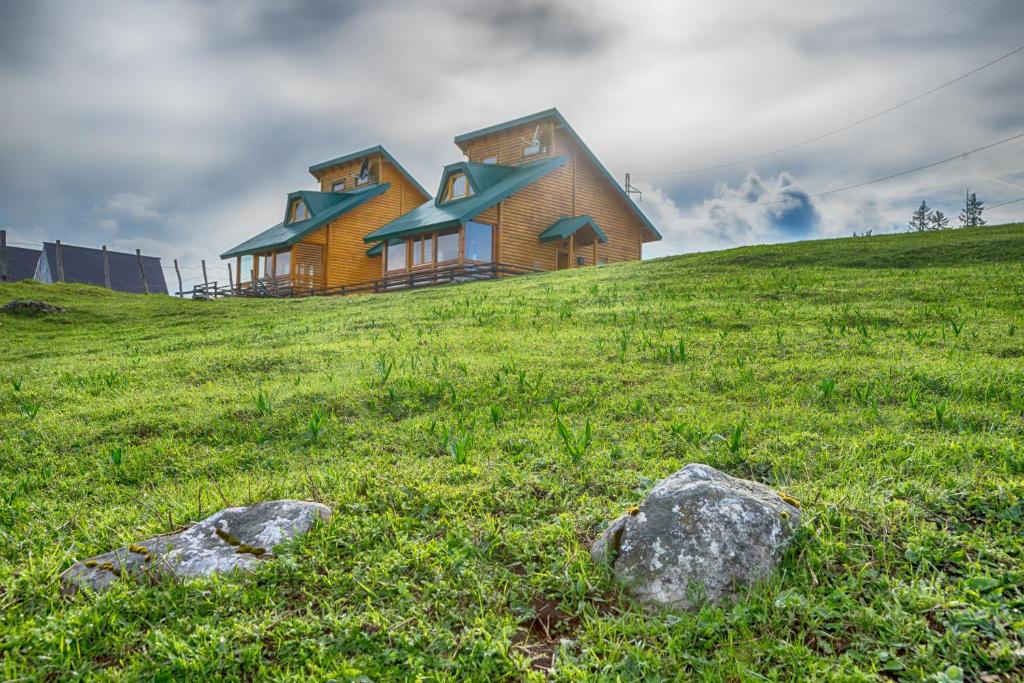 Mountain House AMI - 3