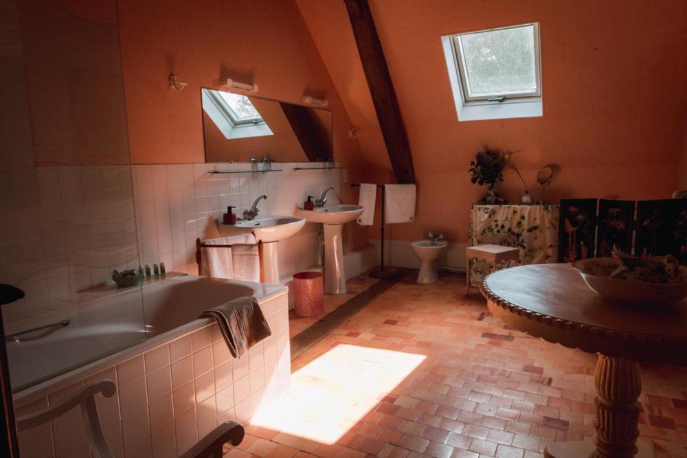 Chateau du Plessis - Anjou photo