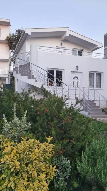 Villa Agava - 1
