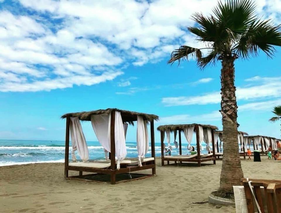Joni's Apartment Spille — Hotel in Spille