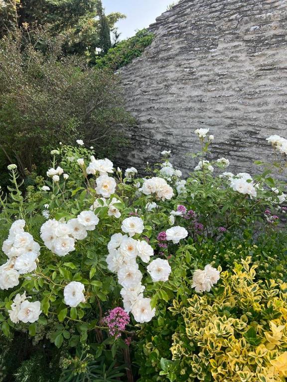 La Borie en Provence - 2