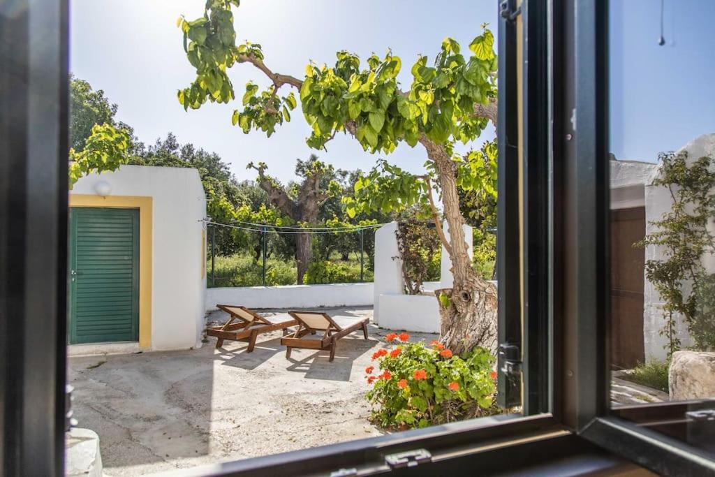 Villa Peleziki photo