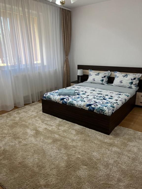 Apartament Andrei Baile Felix — Hotel in Baile Felix