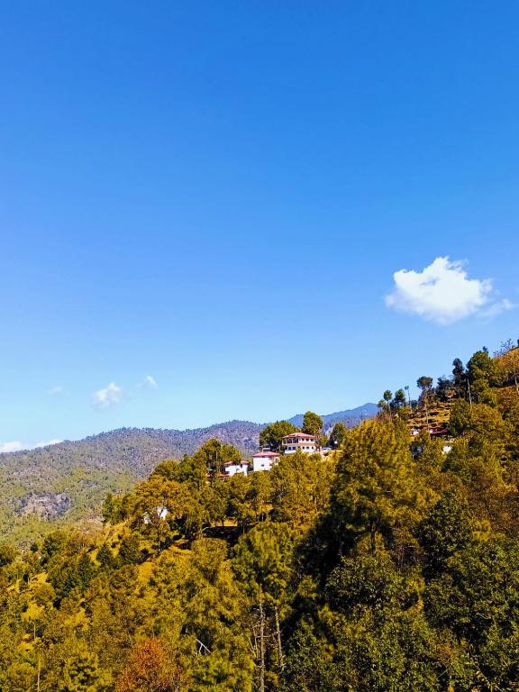Boros Resorts Binsar — Hotel in Almora