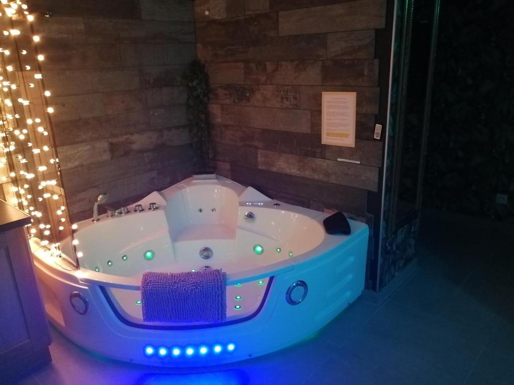 Romantisme et glamour 2 avec spa , clim et jardin - 5