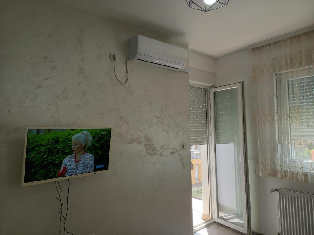 Apartman Vasilije Banja Koviljaca - 2