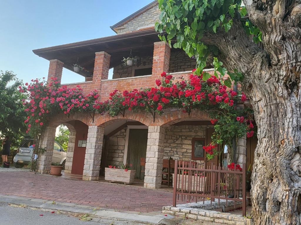 Apartment Stancija Rosello — Hotel in Novigrad