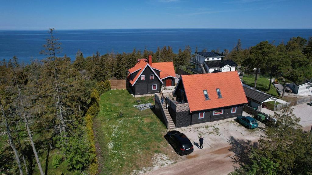 Ảnh 5