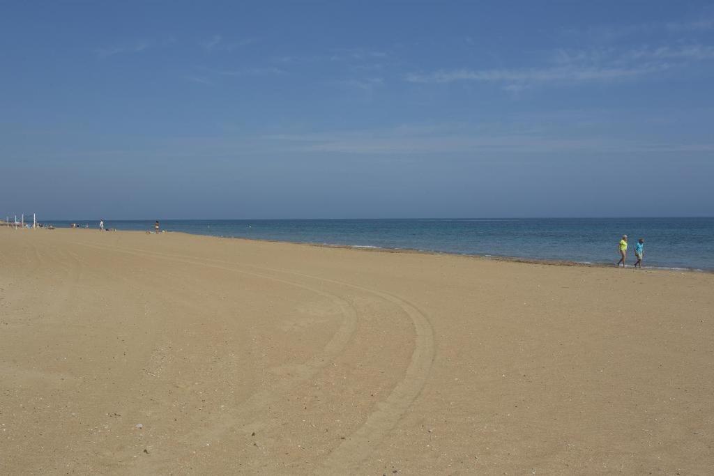 Don Pedro by Aguilarent - 5