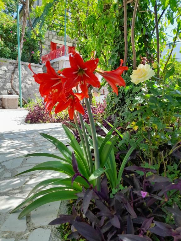 Stone House in Buljarica - 4