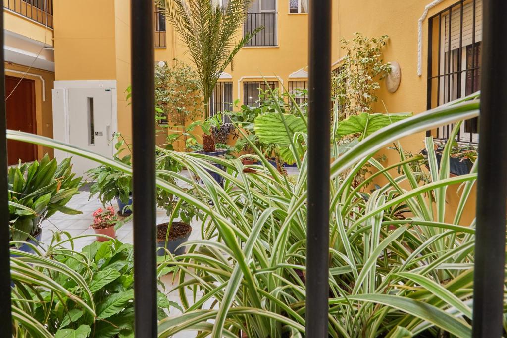 Two Bedrooms Leonor Davalos 2 photo