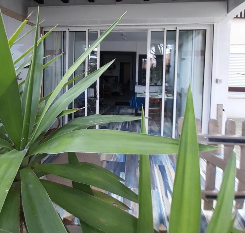 T2bis Les YUCCAS 200 m plage du Boucanet Rive Droite Grau du Roi idéal 2-4 pers 3 étoiles Résidence Camargue Village - 3