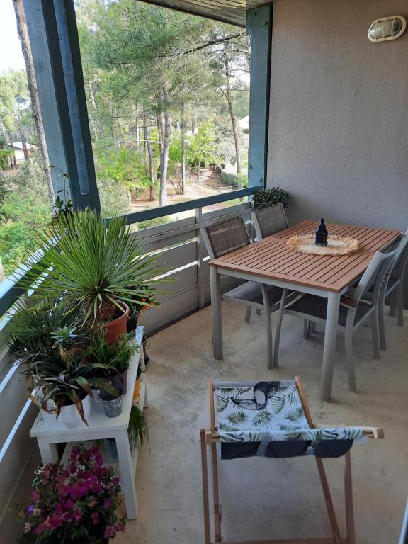 Lacanau-Océan T3 terrasse 50m2 au sein d'un complexe touristique - 4