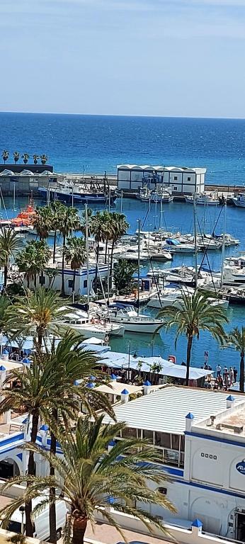 Puerto Paraiso Estepona port - 1