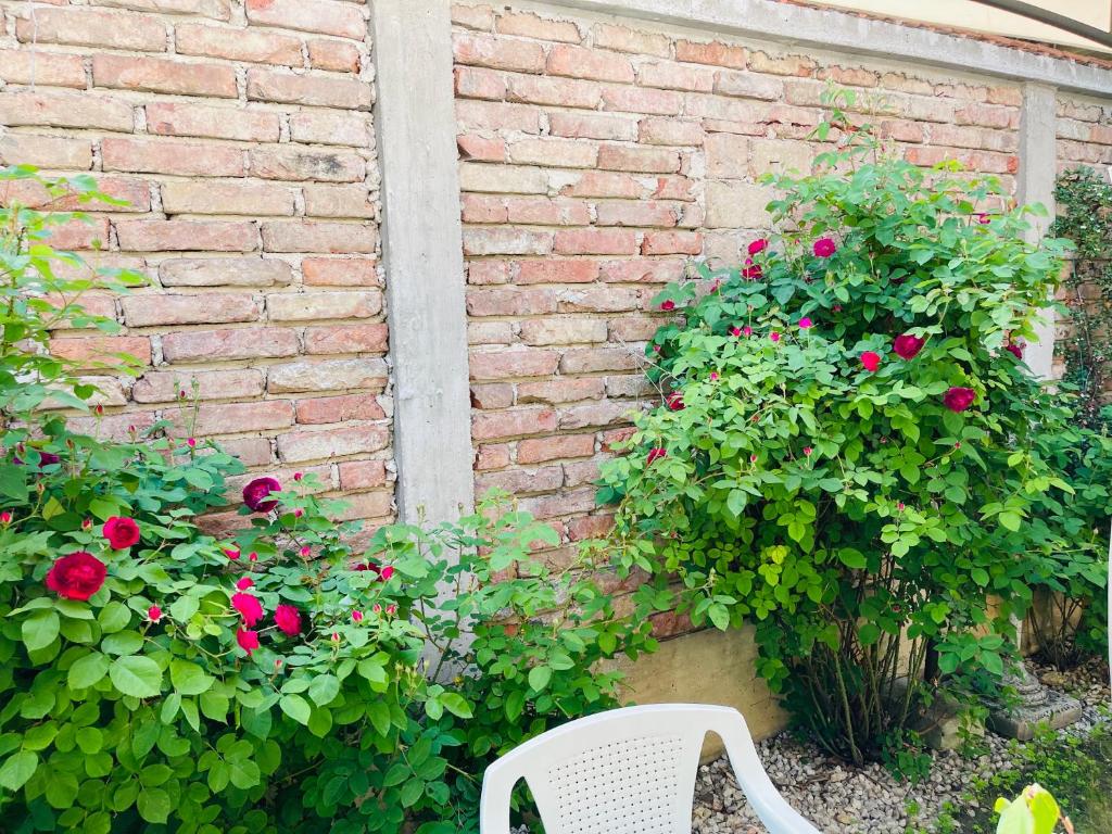 Apartman Indira - 5